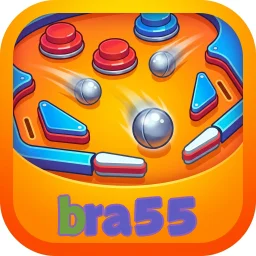 bra55